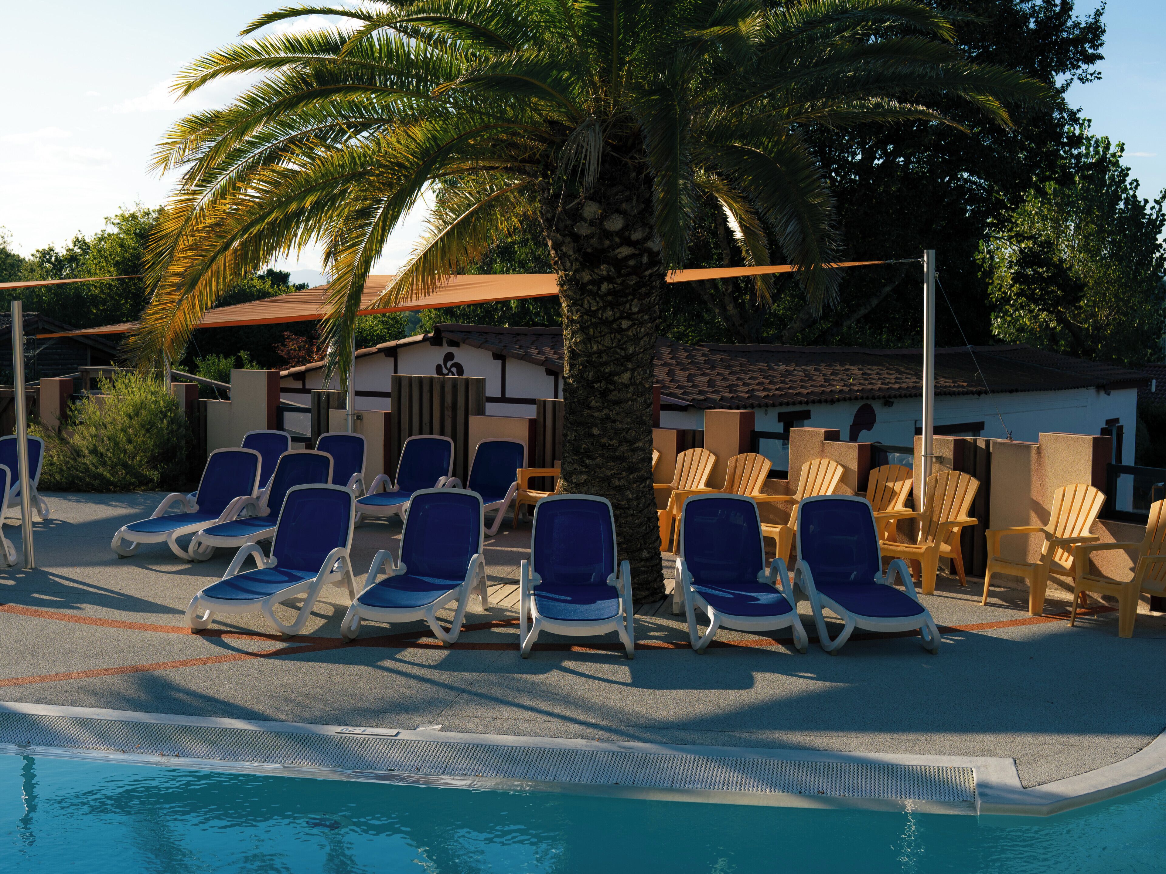 Un espace aménagé au bord de la piscine, avec des chaises longues et un palmier.