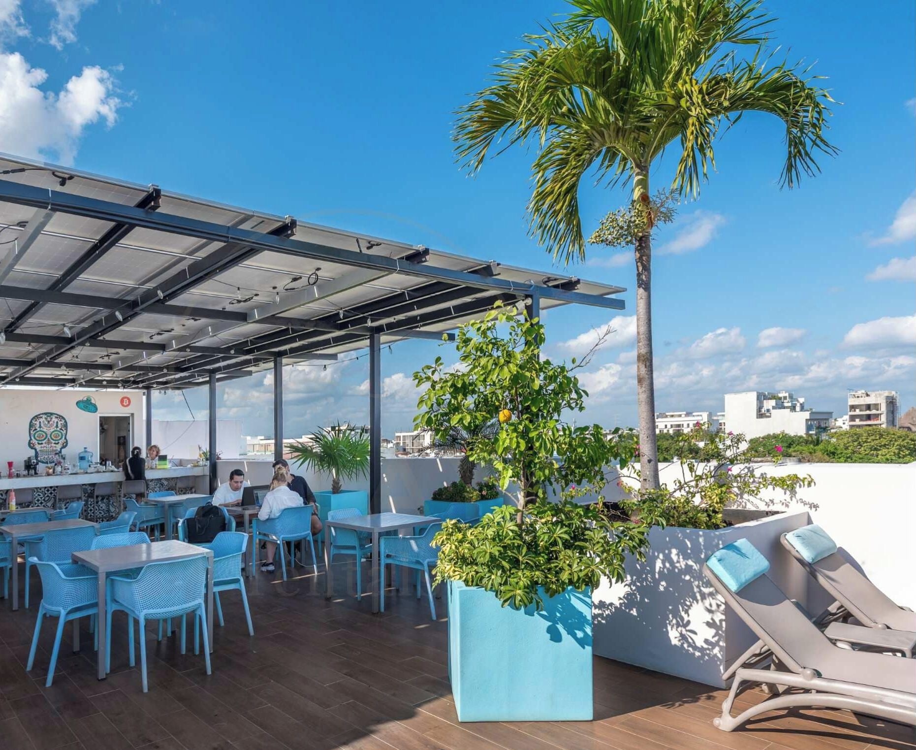 An outdoor seating area with tables and chairs, a bar, and a palm tree.