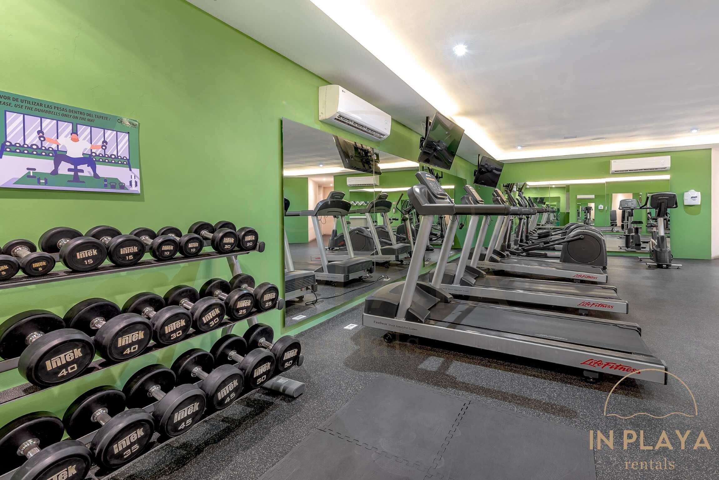 A gym with treadmills, dumbbells, and exercise machines.
