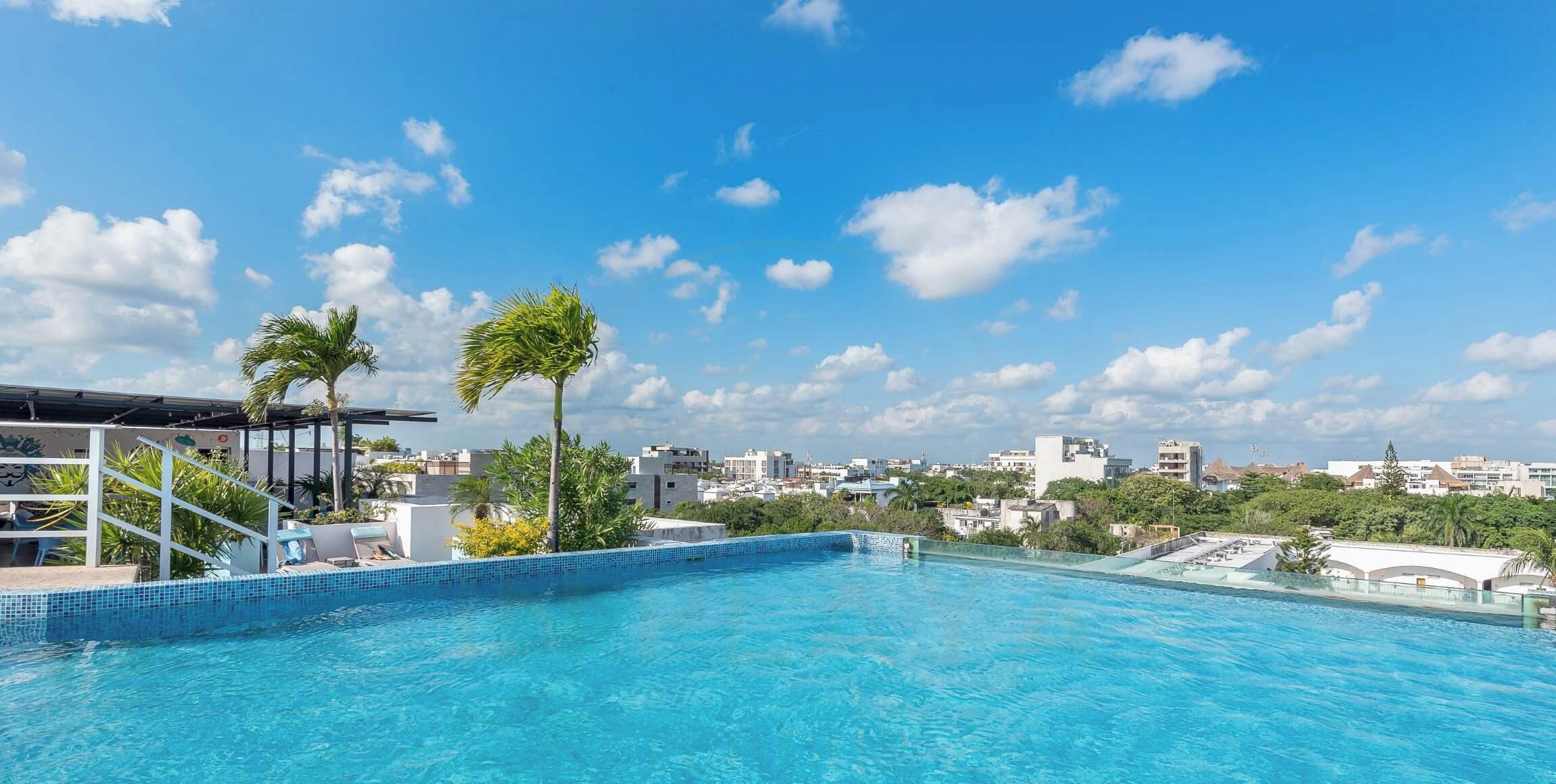 Una piscina sul tetto con acqua cristallina, circondata da palme e una vista sulla città.