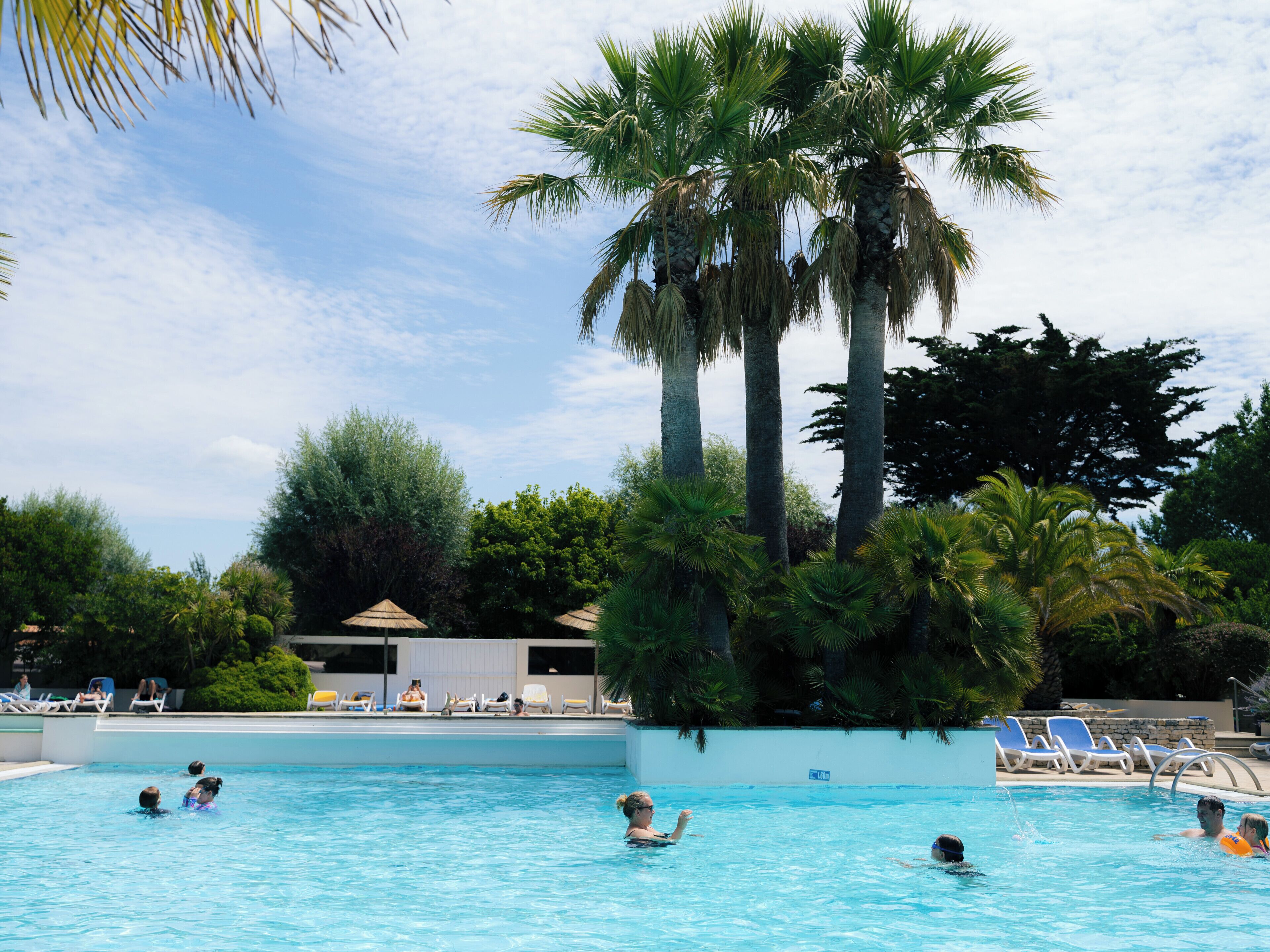 Una piscina con gente nadando y tomando el sol, rodeada de palmeras y tumbonas.