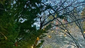 Une terrasse extérieure dotée d’une table à plateau en verre, de meubles en osier et de guirlandes lumineuses.