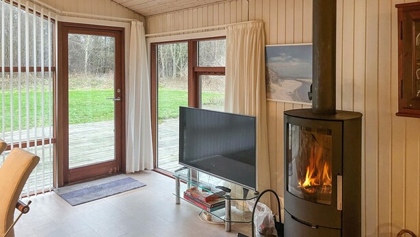 Una habitación acogedora con televisión, chimenea y vistas al exterior.