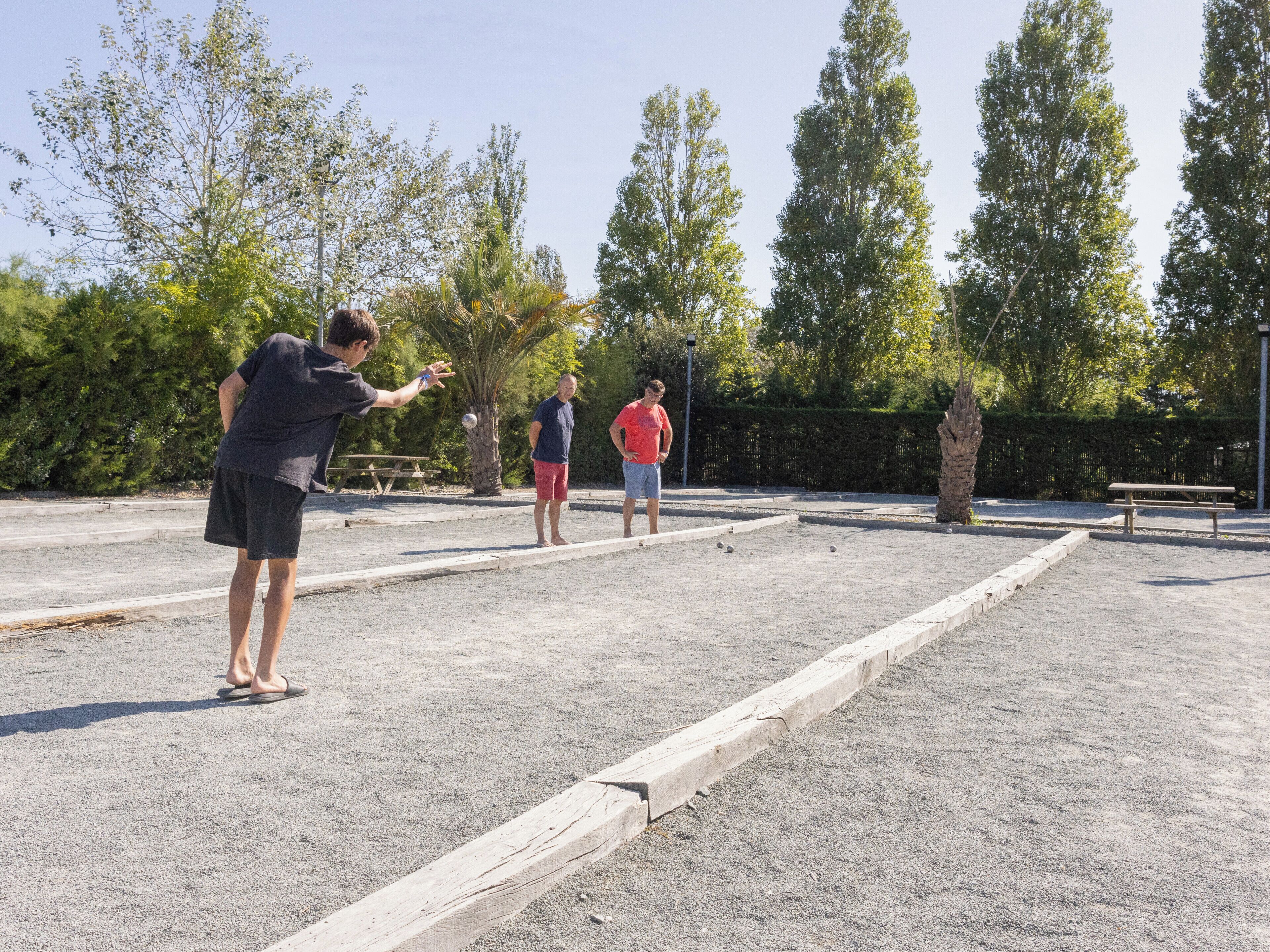 A bocce court with players and a palm tree.