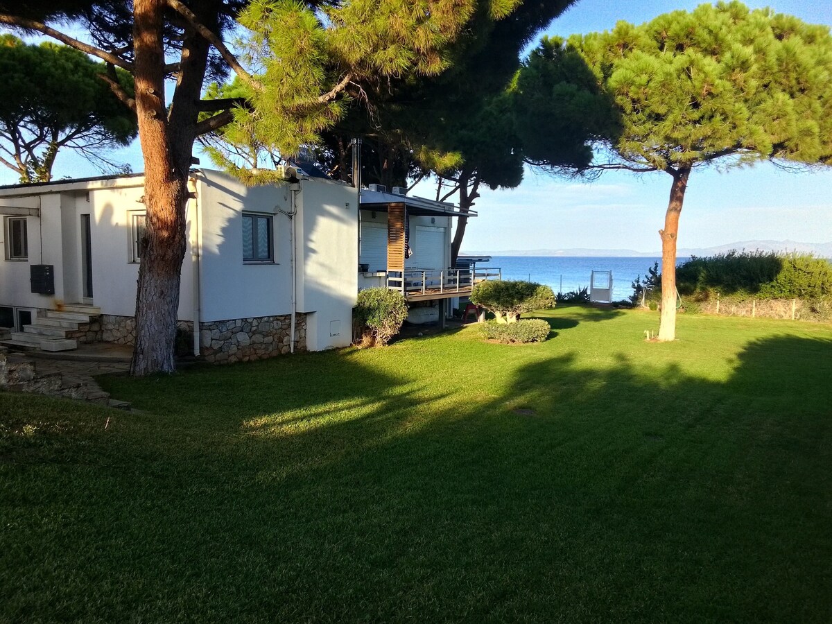 Image de profil de l’hôte