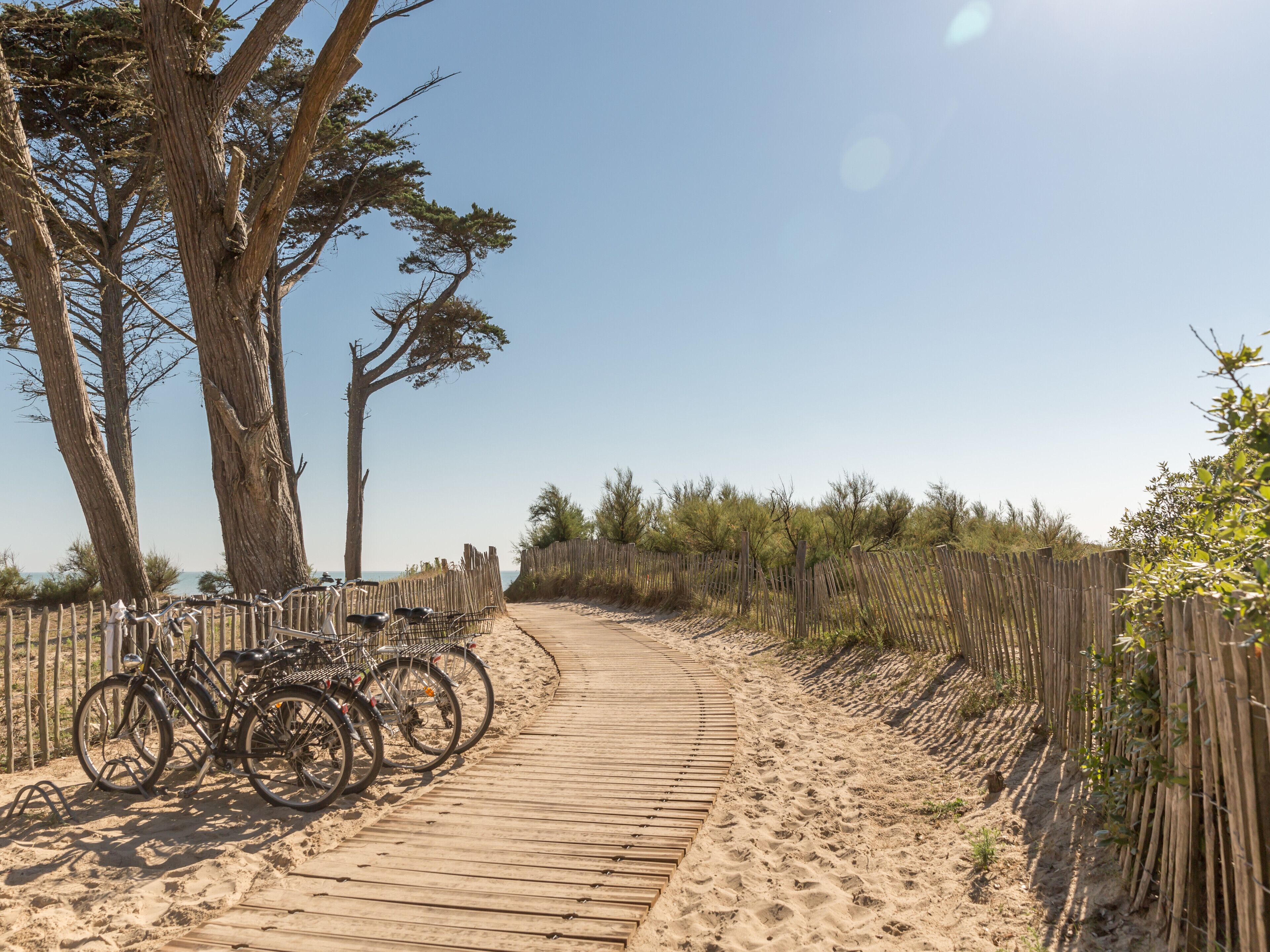 A wooden boardwalk leading to a sandy beach area with bicycles parked on the left.