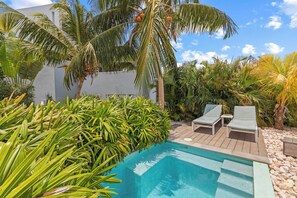 Pool - The Admiral Suite — Sunny Caribbean Comfort (Willemstad)
