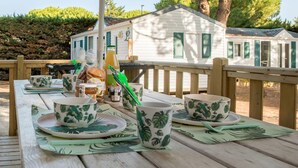 Een houten terras met een picknickopstelling, inclusief servies met een tropisch thema en een fles sap.