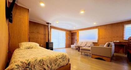 Family cabin with views of the Antuco Volcano