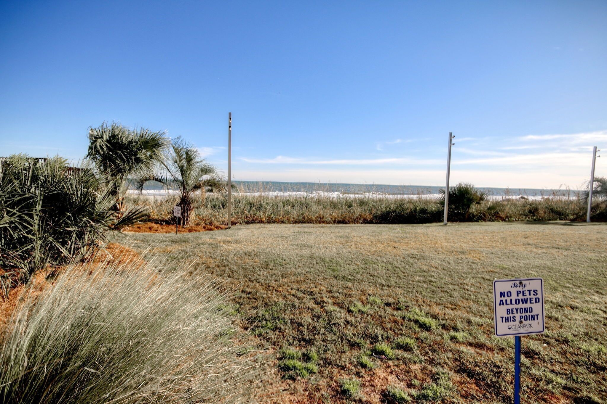 A beach area with a sign prohibiting pets beyond a certain point.