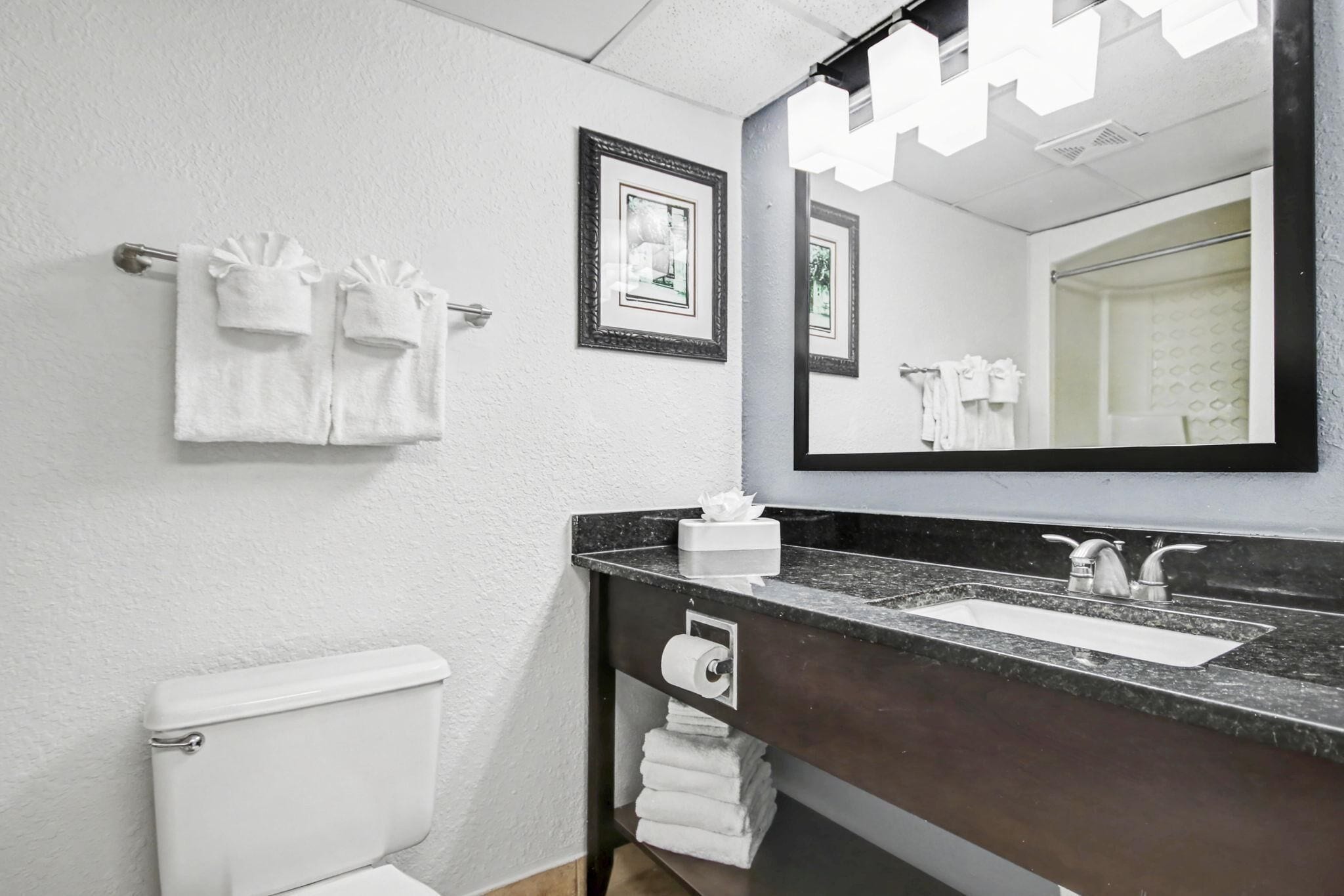 A bathroom with a toilet, sink, and mirror.