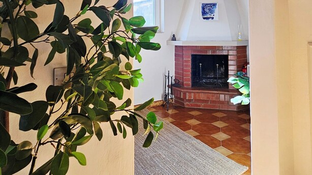An interior view of a room with a fireplace, a tiled floor, and a large plant. - Attic room a stone's throw from the harbor. Private parking. (Livorno)