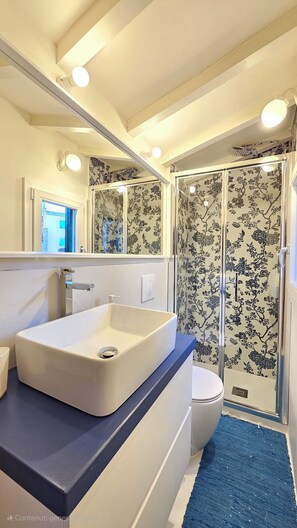Hair dryer, towels, soap, toilet paper