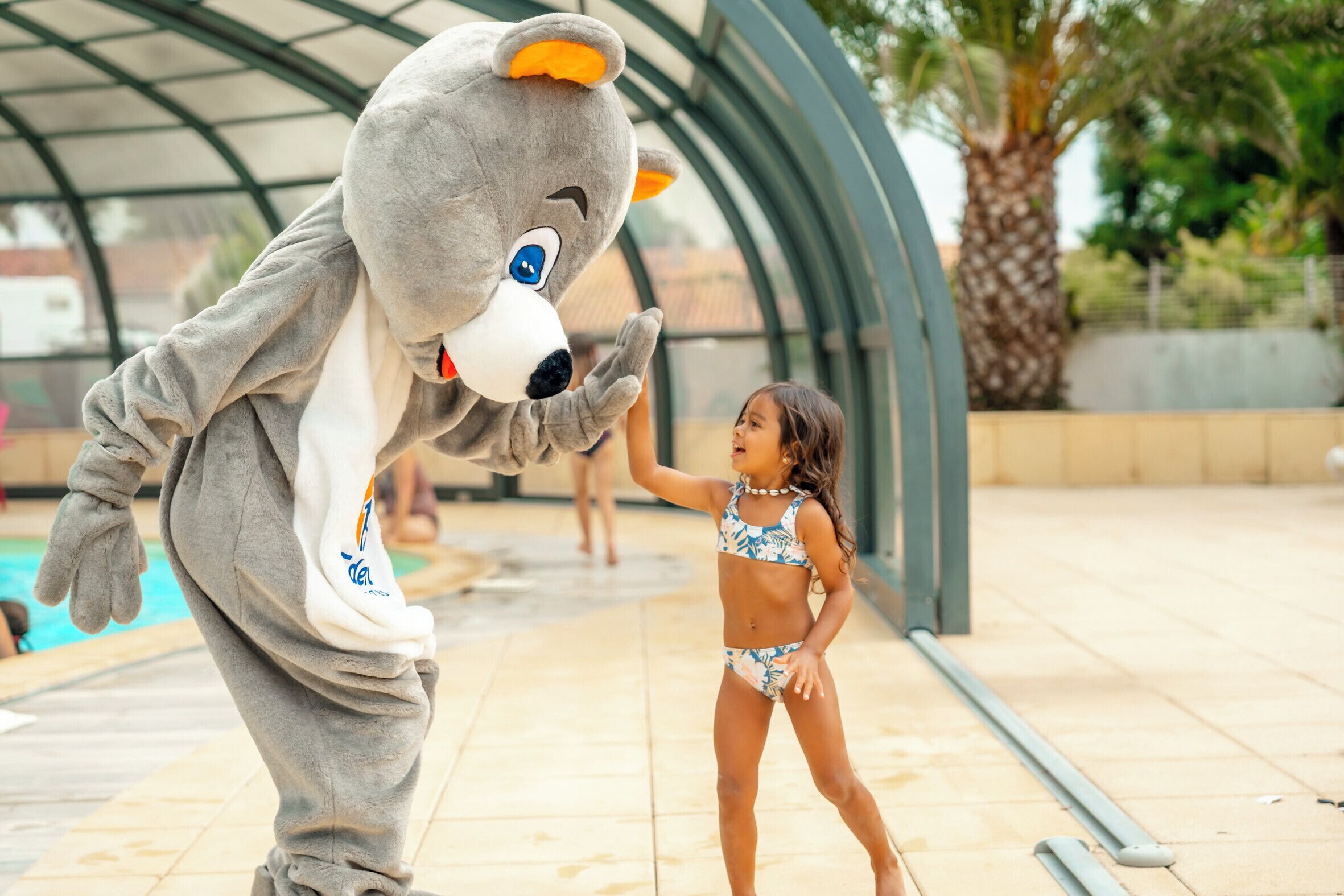 A mascot in a grey bear costume interacting with a child near a pool area.