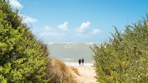 En sti gennem sand med frodig vegetation på begge sider, der fører til havet.