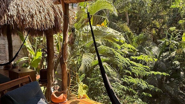A hammock chair under a wooden roof, surrounded by lush greenery. - AC Room with Balcony and Nature Views (Santa María Tonameca)