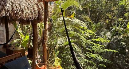 AC Room with Balcony and Nature Views