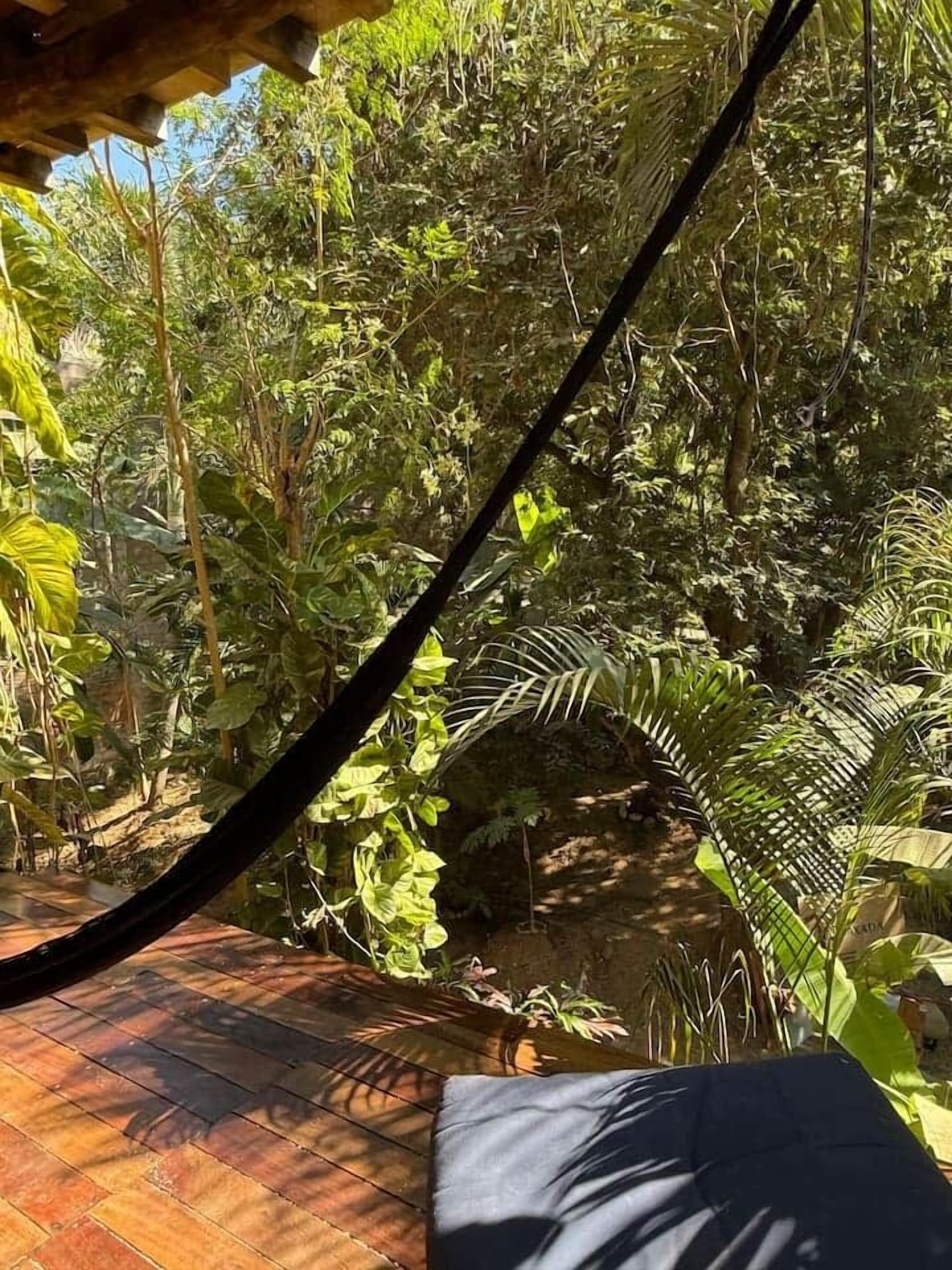 Un hamac suspendu sous une structure en bois, entouré d’une végétation luxuriante et d’une terrasse en bois.