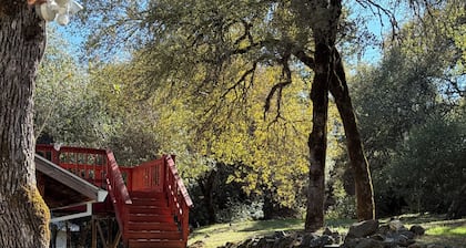 Charming Gold Country Getaway: Studio Near Historic Towns, Trails, and Swimming