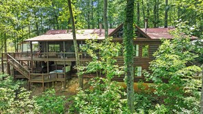 Exterior - Sleeps 12. Hot Tub & Game Room. Private Blue Ridge Cabin near Hiking & Downtown (Blue Ridge)