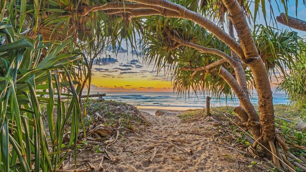 Un sentier bordant la plage, menant à l’océan, avec des palmiers et un coucher de soleil en arrière-plan.