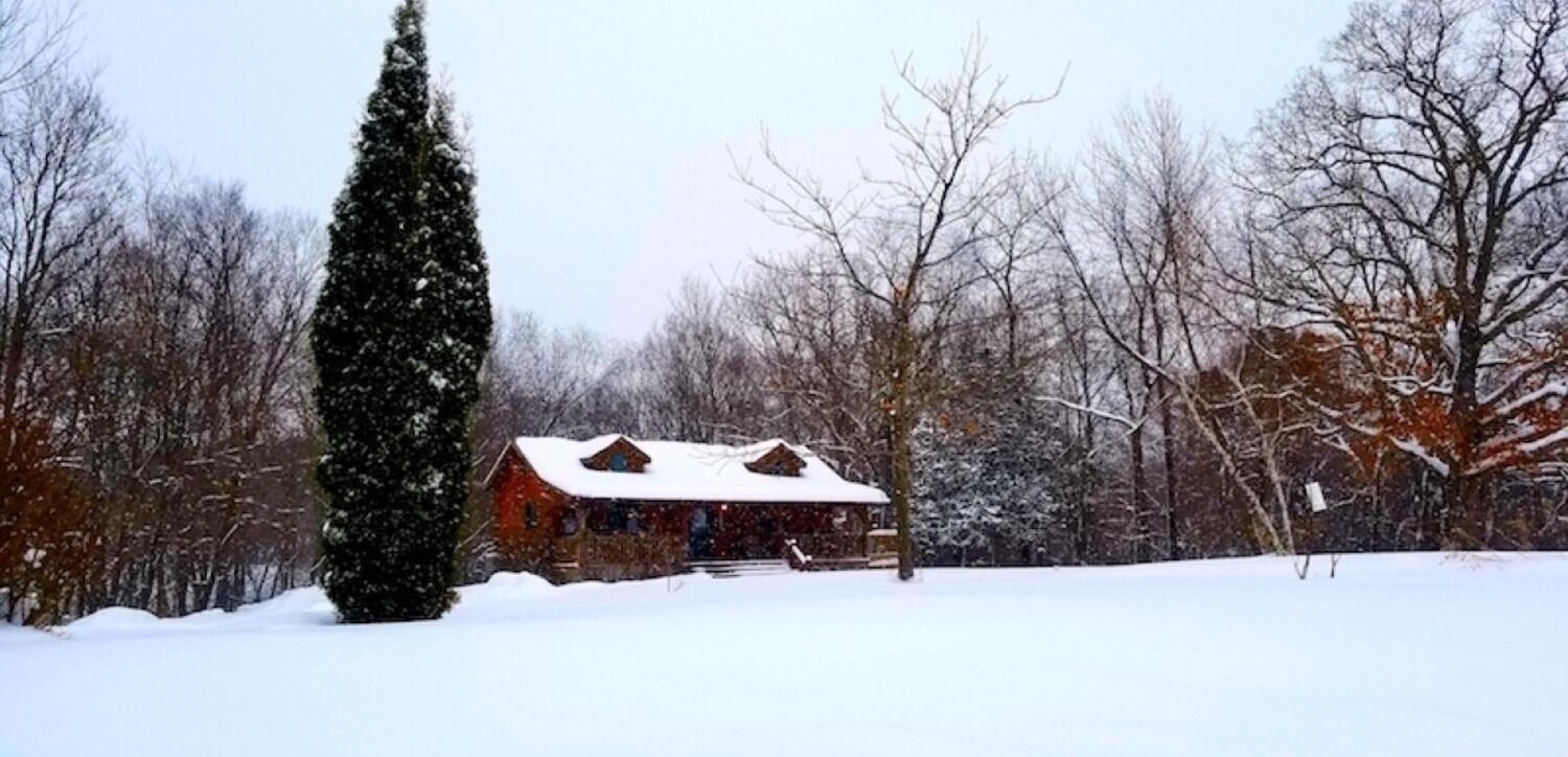 Schneebedeckte Landschaft mit einer Holzhütte und einer hohen Fichte.