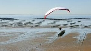 Une plage avec un parachute ascensionnel visible au loin.