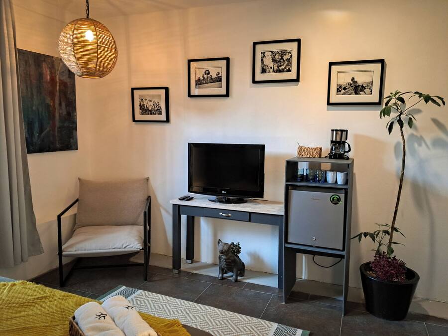 Une chambre d’hôtel avec un lit, un bureau avec une télévision, une chaise, un petit meuble, une plante en pot et des œuvres d’art accrochées au mur.