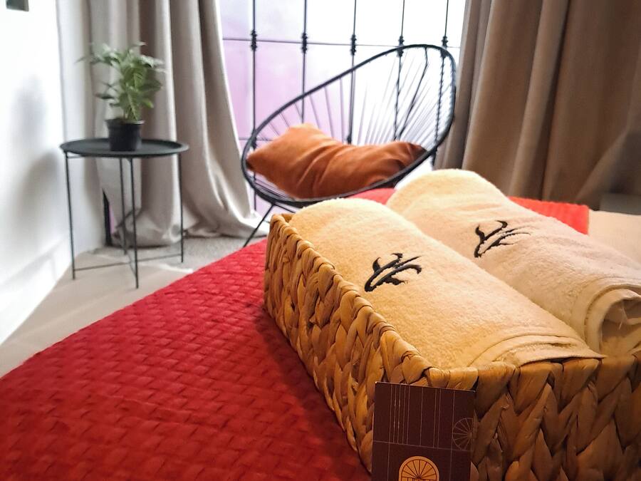 A bed with a red cover, a hanging chair, a small table with a plant, and a window with curtains.