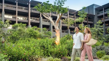 A couple walking in a courtyard with a tree, surrounded by greenery and a building with multiple balconies.