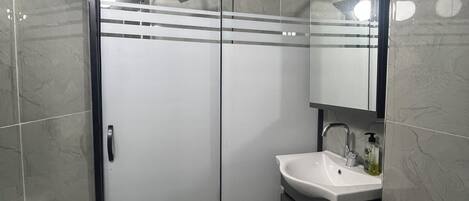 A modern bathroom with a glass-enclosed shower, a white sink, and a mirror above the sink.