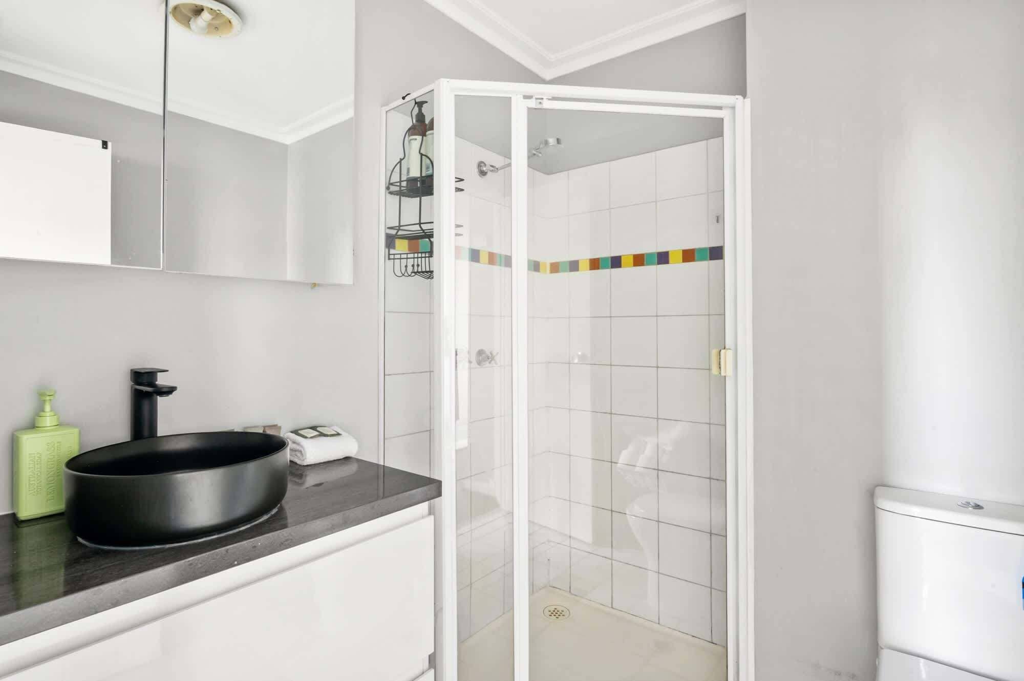 Shower, hair dryer, towels