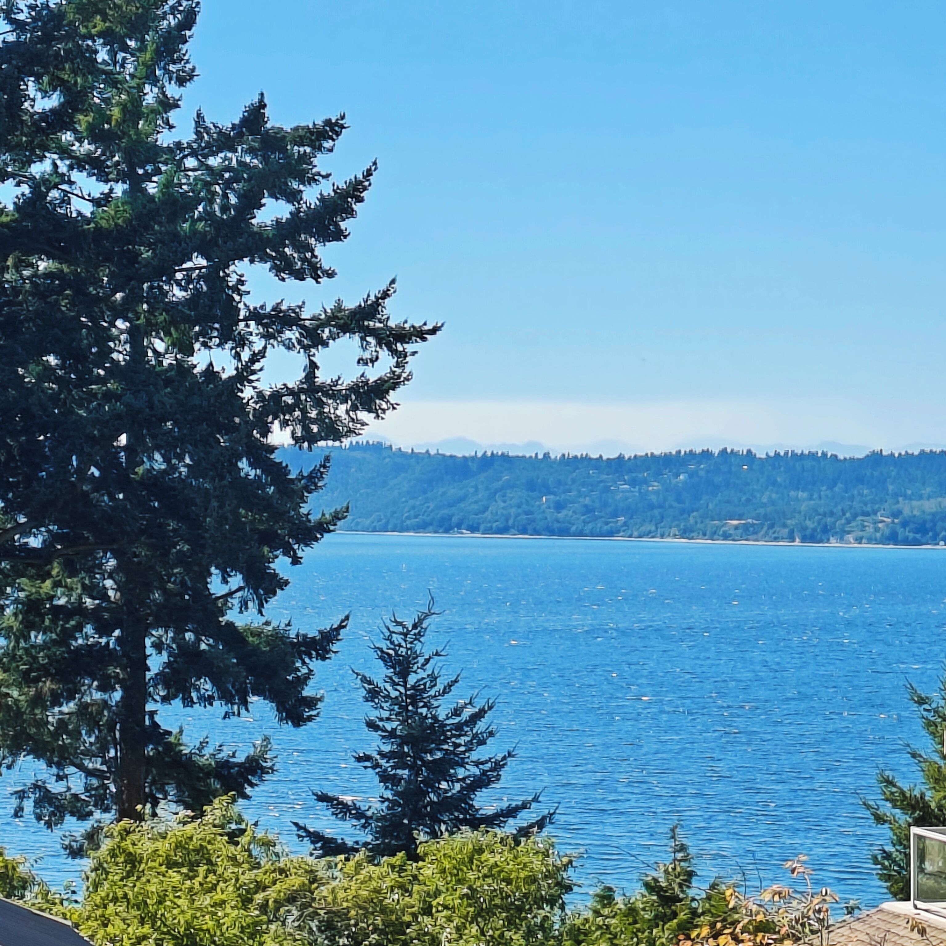 View from property