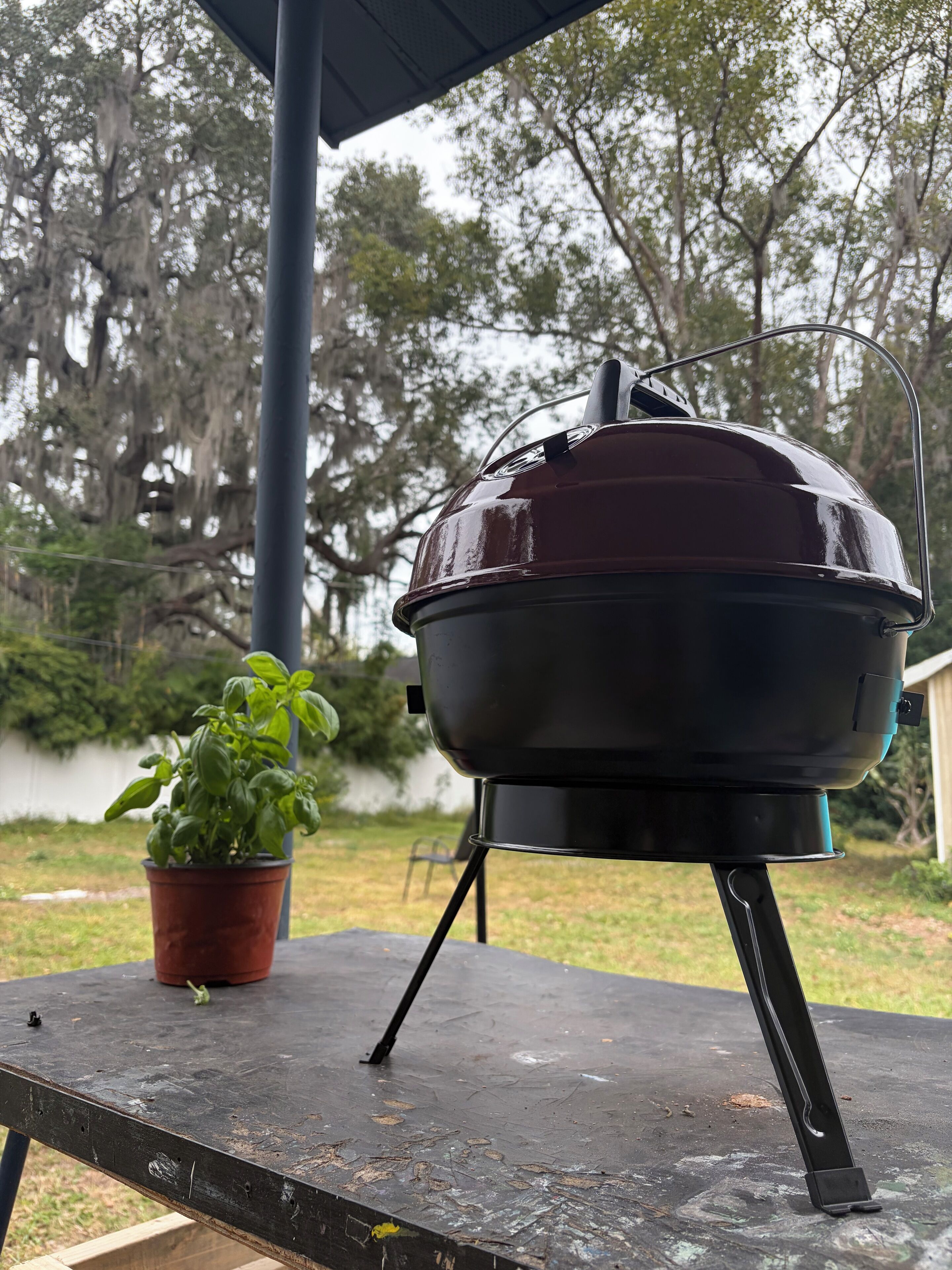 Un barbecue est installé sur une table à l’extérieur, avec une plante en pot à proximité.