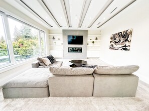 Smart TV, fireplace, books