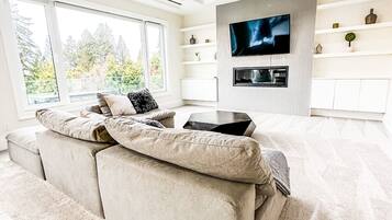 Smart TV, lareira, livros