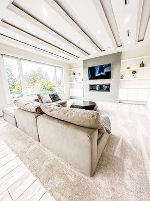 Smart TV, fireplace, books