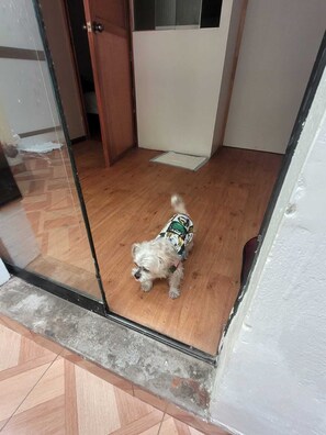 Family Apartment | Interior - HOTEL HUAYNAPATA PARDO (Cusco)