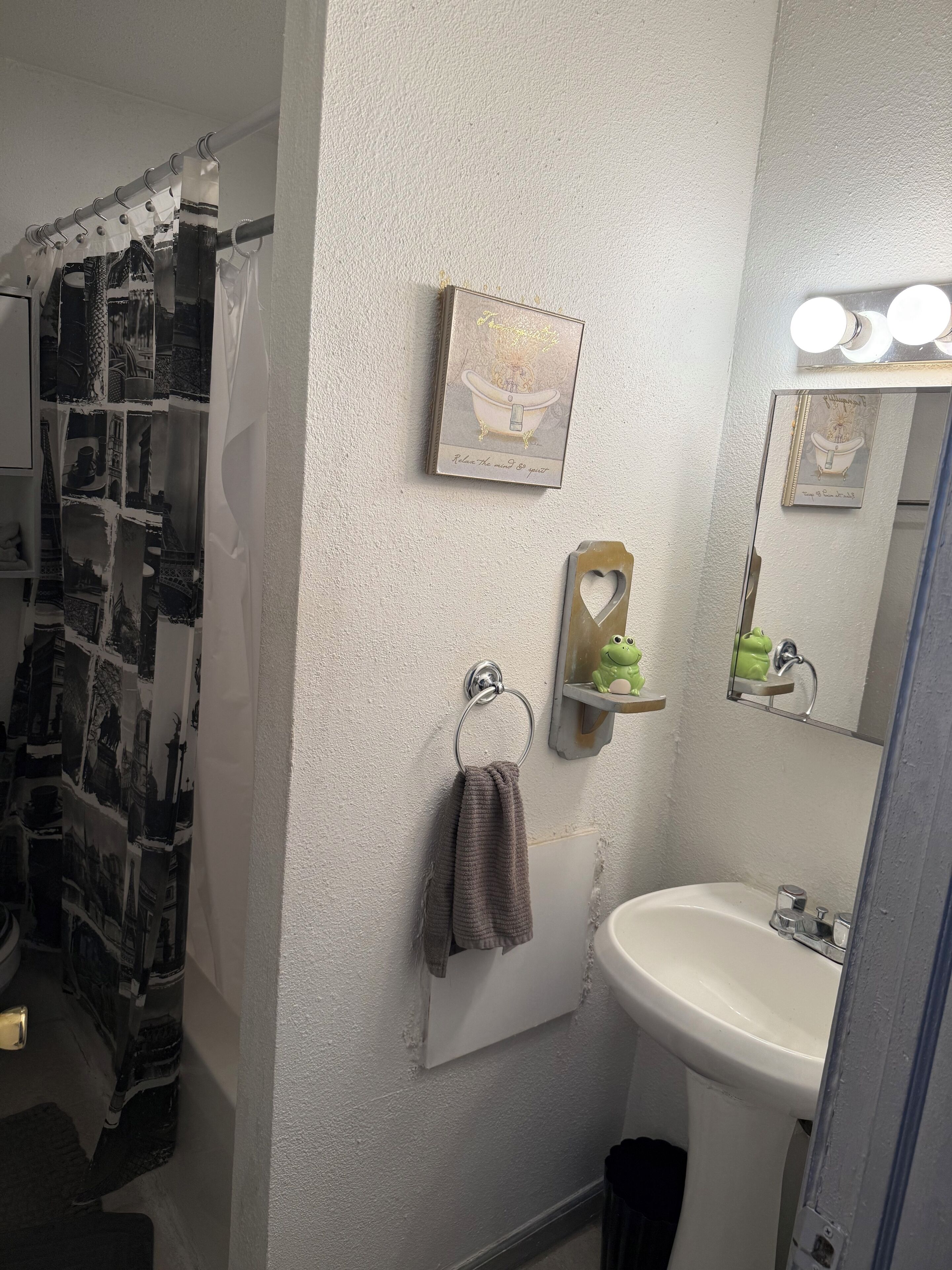 Hair dryer, towels, soap, toilet paper