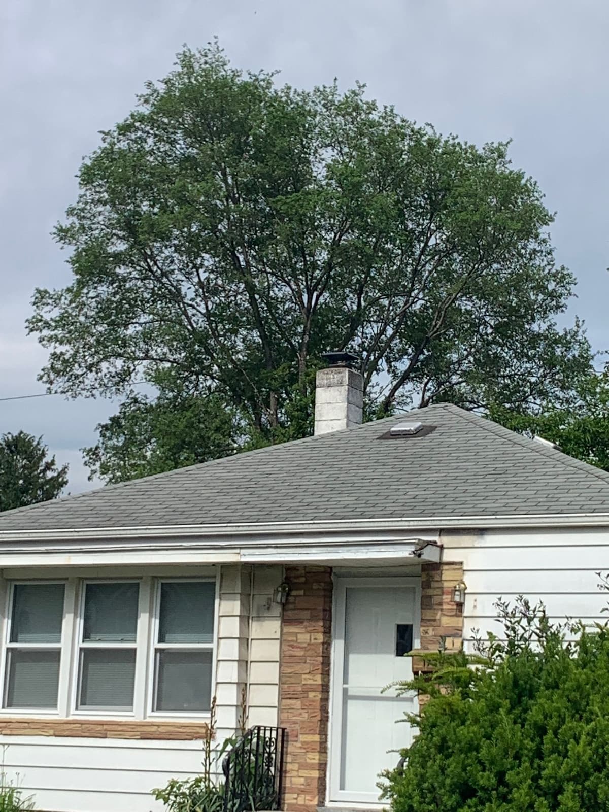 Imagen de perfil del propietario o de la propietaria