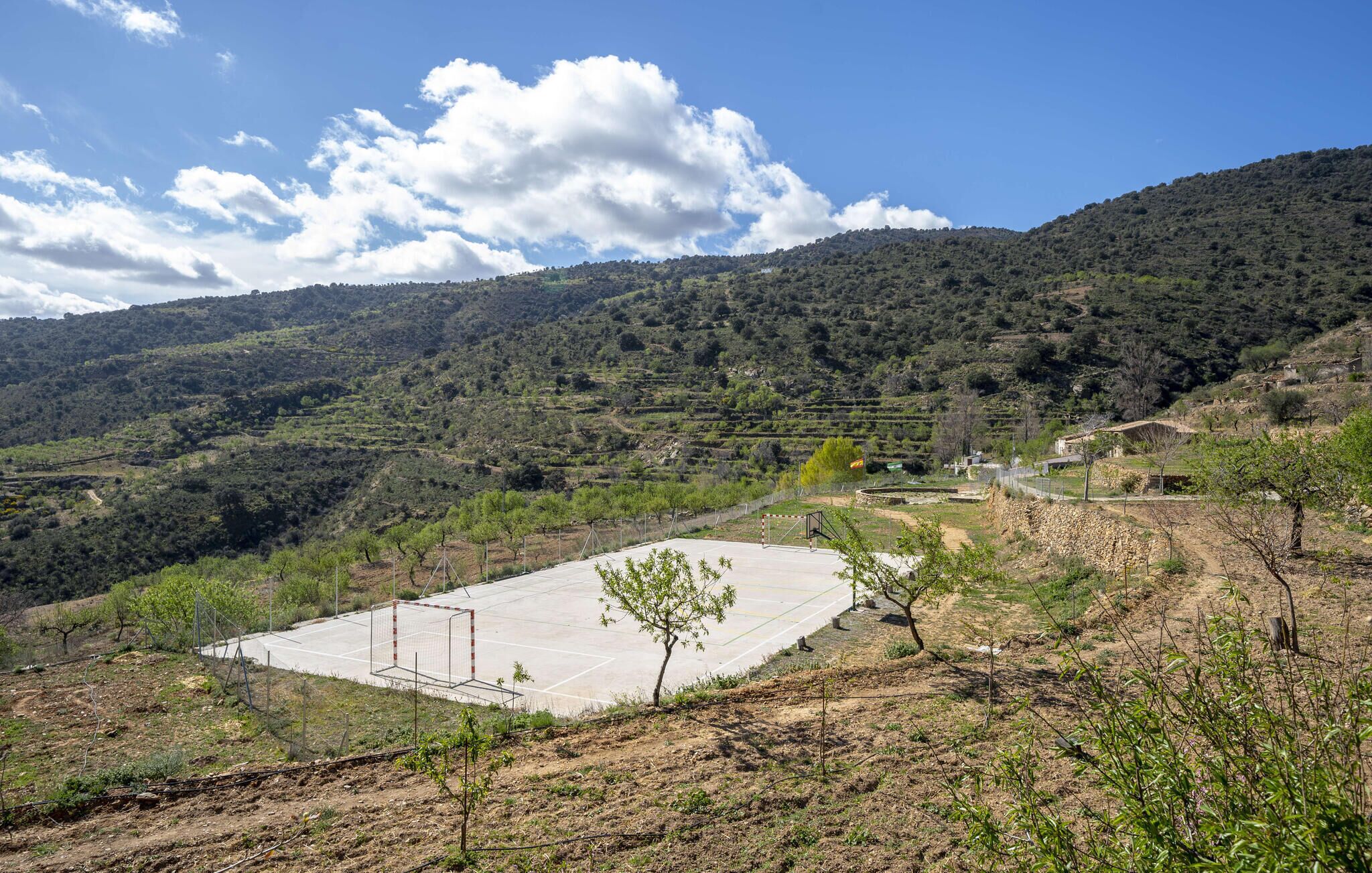 Terrain de sport