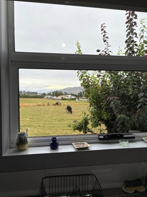 Interior - Bottlebrush on the Grove centrally positioned in the beautiful Huon Valley (Huonville)