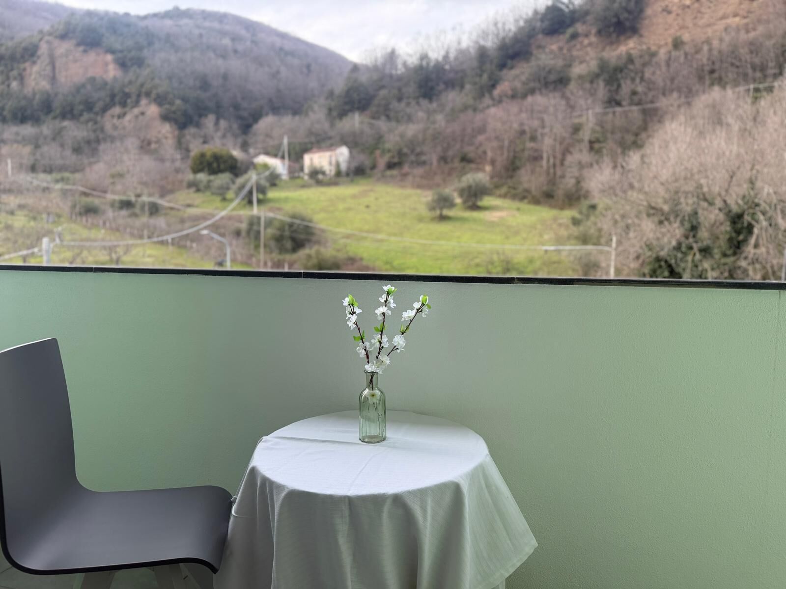 Superior eenpersoonskamer, balkon, uitzicht op bergen | Buiten dineren