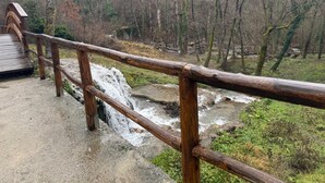 Un pont en bois enjambant une petite cascade, entouré d’arbres et bordé d’une zone herbeuse.