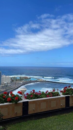Property grounds - Apartamento Ikarus (with climatized pool) (Puerto de la Cruz)