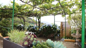 Um jardim com pérgola, diversas plantas, um espelho d'água e vista para a paisagem.