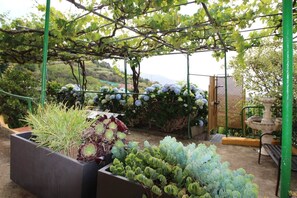 Property grounds - Finca Las Madrecitas (La Orotava)