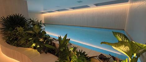 Indoor pool, sun loungers