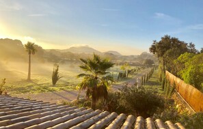 Property grounds - Holiday home Finca Ses Tanques (Algaida)