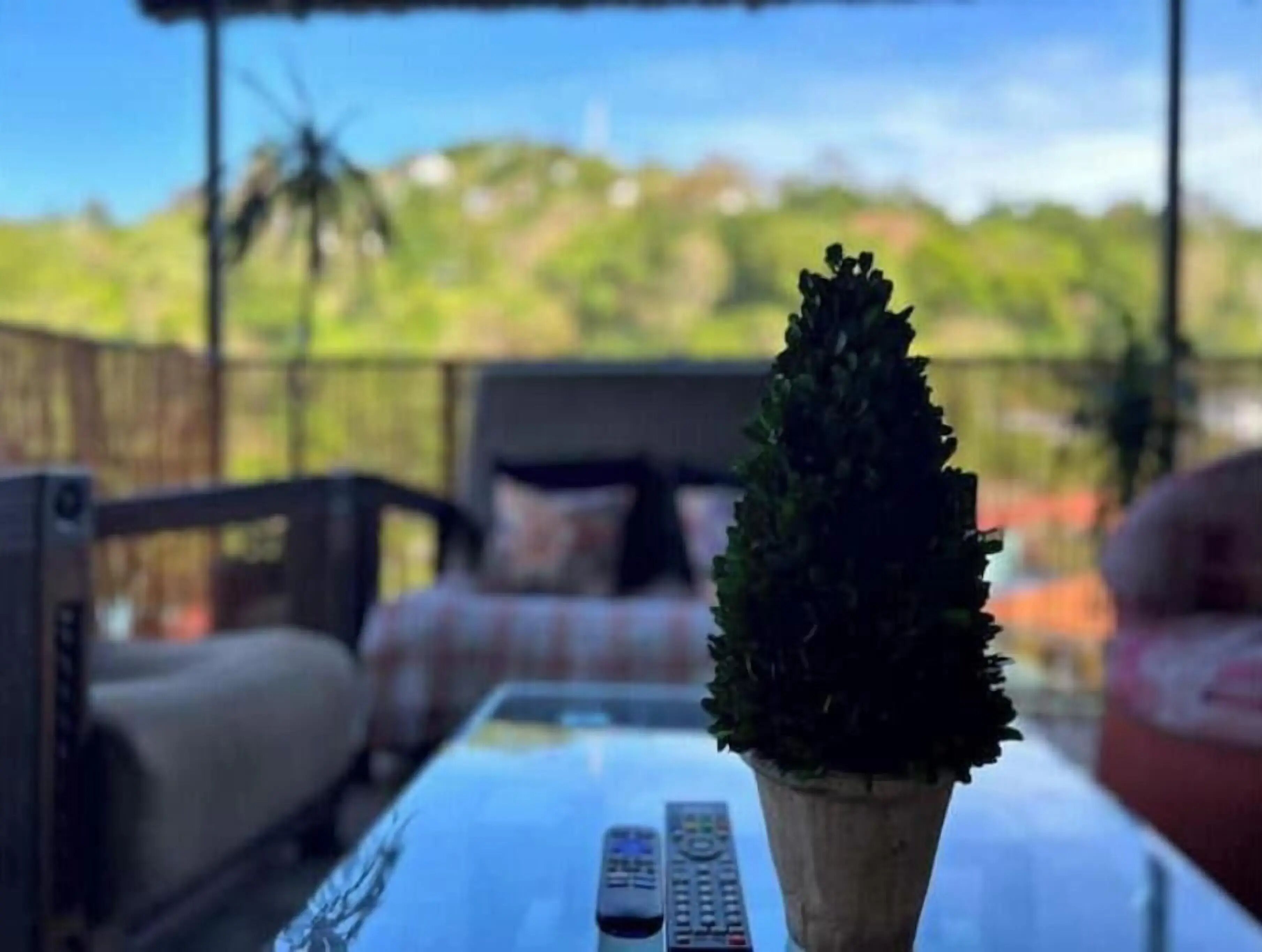 A potted plant on a table with a remote control beside it, a sofa, and a view of a green landscape in the background.